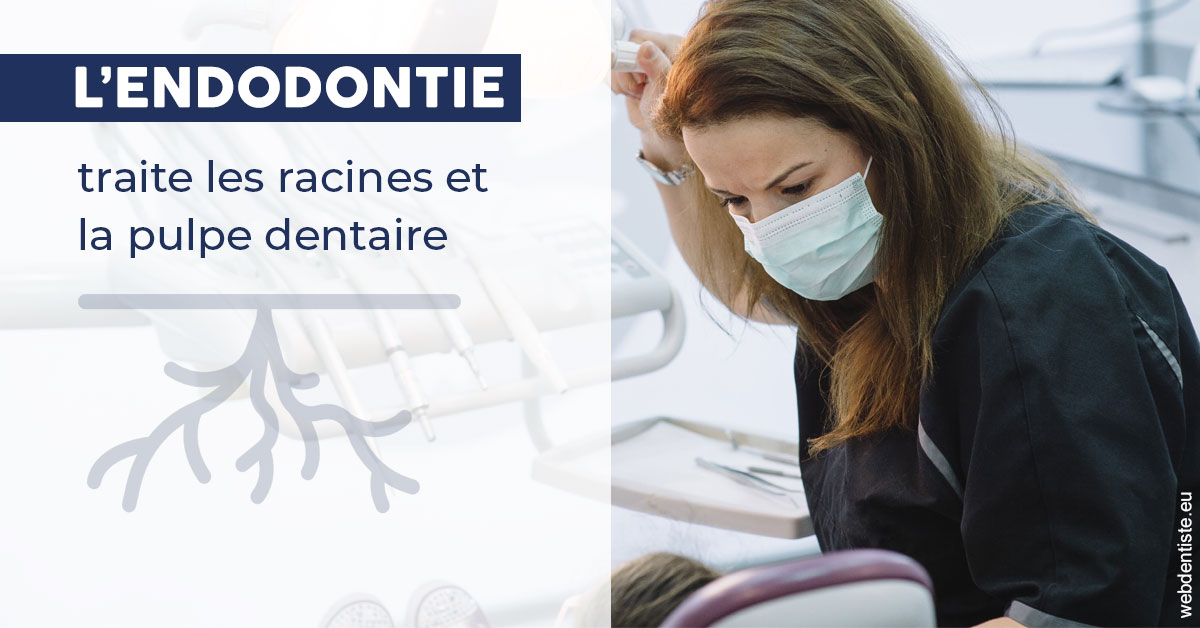 https://dr-blanchard-patrick-yves.chirurgiens-dentistes.fr/L'endodontie 1