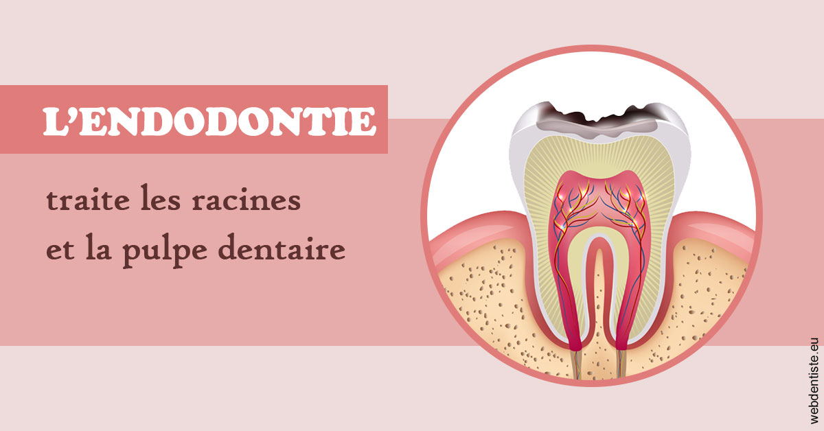 https://dr-blanchard-patrick-yves.chirurgiens-dentistes.fr/L'endodontie 2