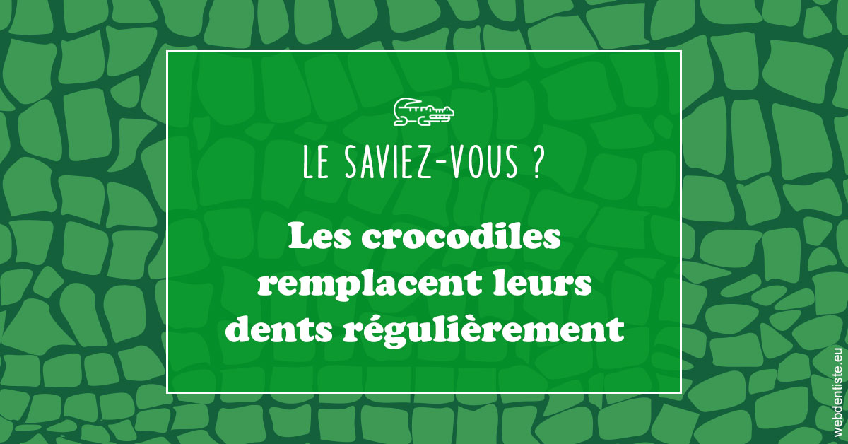 https://dr-blanchard-patrick-yves.chirurgiens-dentistes.fr/Crocodiles 1